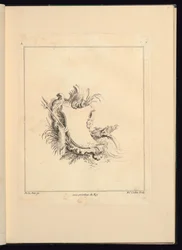 Design för Cartouche Evoking the Sea