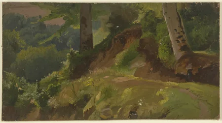 Inne i en skog