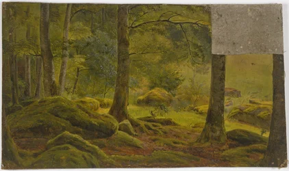 Inne i en skog