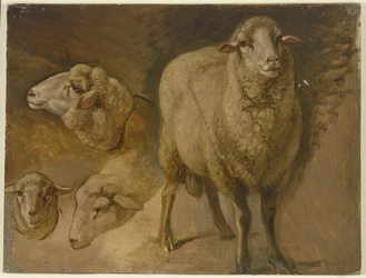 Får