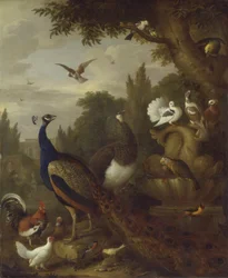Påfågel, påfågelhöna, papegojor, kanariefågel och andra fåglar i en park, omkring 1708-10