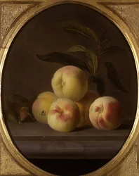 Stilleben av frukt med en fluga (olja på duk)