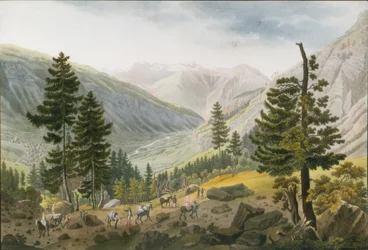 Berglandskap med en karavan av mulor