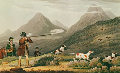 Jakt på skogshöns