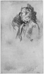 Lord Wolseley, 1800-talet 1904.