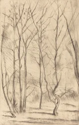 Damskogen, 1875.