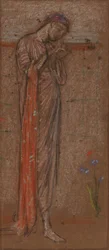 Den lila irisen, 18711872.