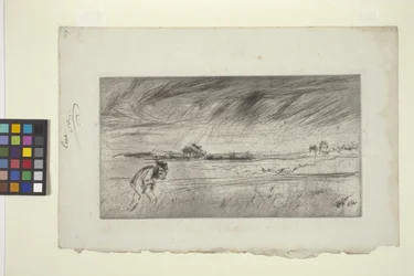 Stormen (torrnål)