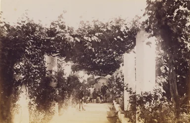 Trädgård - Capri