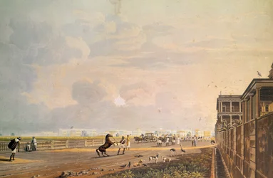 Vy över Esplanade Row från Chouringhee Road, Calcutta, graverad av Robert Havell, pub. 1824