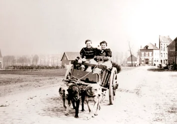 Hundar som drar kvinnor på en vagn, Antwerpen, 1898.