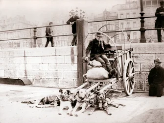 Man med hundkärra, Antwerpen, 1898.