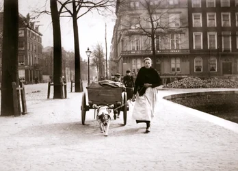 Kvinna med hundkärra, Rotterdam, 1898.