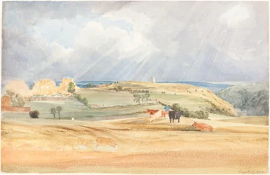 Landskap med boskap (Somerset?)