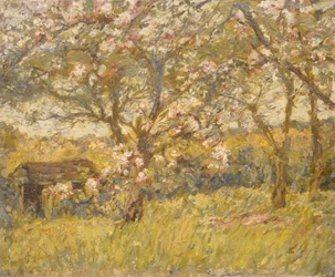 Apple Blossom (olja på duk)