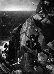 Äggsamlare, c1873, 1911