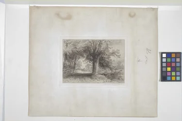 Landskap (etsning, chine collé)
