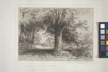 Landskap (etsning, chine collé)