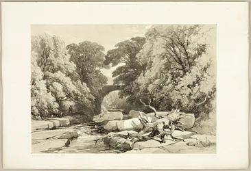 Ask and Alder on the Greta, från Parken och skogen