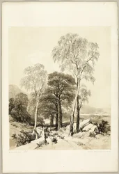 Björk och ek, från Parken och skogen