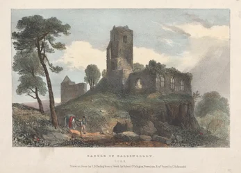 Castle of Ballincolly