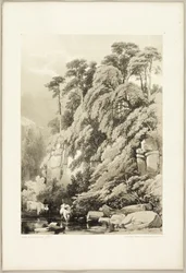 Wych Elm and Firs, från The Park and the Forest