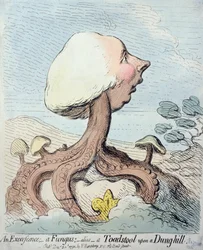 En Excrescens; En svamp; Alias - A Toadstool upon a Dung-hill, publicerad av Hannah Humphrey 1791 (etsning med wc)