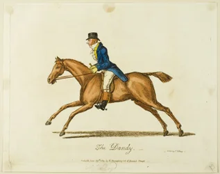 Dandyn