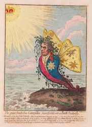 The Great South Sea Caterpillar, förvandlad till en Bath Butterfly, pub. 1792 (handfärgad gravyr)