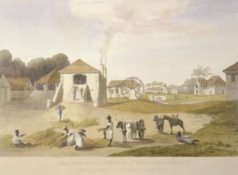 Mill Yard, Holland Estate, St. Thomas i öst