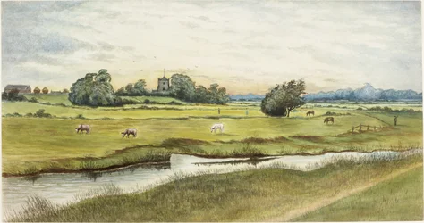 Ryton Meadows (akvarell och kroppsfärg på papper)