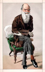 Porträtt av Charles Darwin