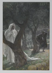 Vår Herres uppenbarelse till Sankt Peter, illustration från Vår Herre Jesu Kristi liv, 1886-94 (wc över grafit på papper)
