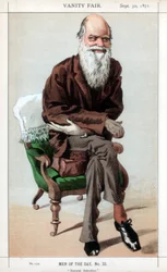 Naturligt urval, 1871.