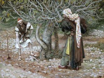 The Barren Fig Tree, illustration till The Life of Christ, c.1886-94 (wc & gouache på kartong)