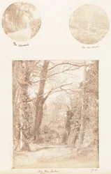 Tillvägagångssättet, i skogen, vid sjön, 1853-56.