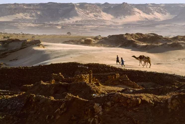 Kamel med saltkaravanmedlemmar korsar en ökenplatå i BILMA, NIGER. BILMA, NIGER.