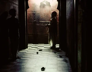 Heliga råttor bor i Karni Mata-templet till den hinduiska gudinnan Bhagwati Karniji i Deshnoke, Rajasthan, Indien