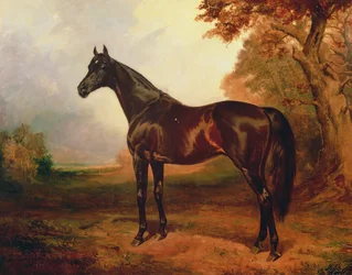 S:t Simon, 1906