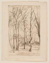 Damskogen