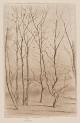 Damskogen