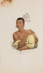 AT-TE-CONSE eller Den unga hjorten; En Chippewayhövding, från The Aboriginal Portfolio