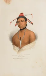 MA-KO-ME-TA eller Björnens olja; En hövding från Monomonie, från The Aboriginal Portfolio
