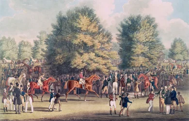 Epsom, Sadling in the Warren