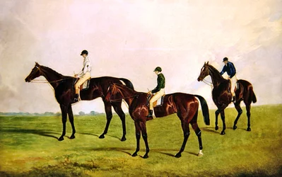 Racehorses Jockeys Up (olja på duk)