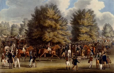 Sadling in the Warren, tryck gjord av Charles Hunt, 1836 (akvatint)