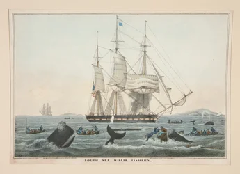 South Sea Whale Fishing