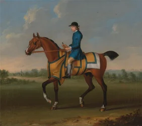 En Bay Racehorse med Jockey Up