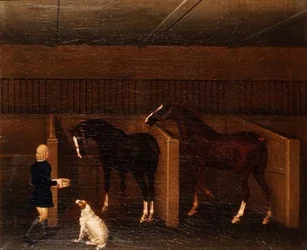 En brudgum, hästar och en hund i ett stall