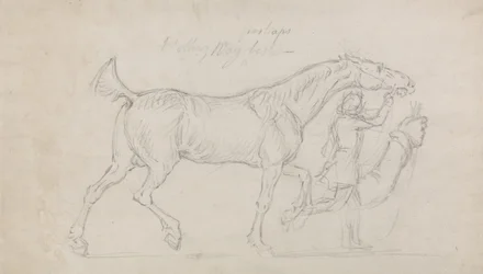 Man som leder en travhingst till höger (grafit och svart krita på papper)